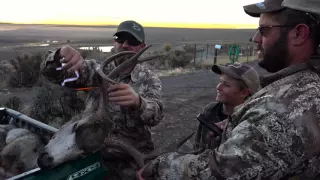 How to Score Your Mule Deer