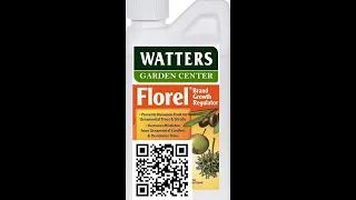 Florel Fruit & Mistletoe Control