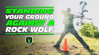 Standing your Ground Against a Rock Wolf!