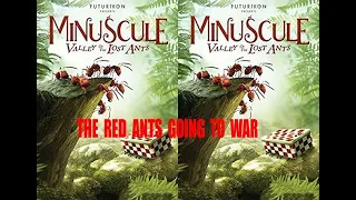 The Red Ants Going To War -  (Minuscule, Valley of the Lost Ants)