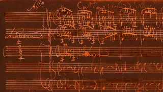 VIVALDI | Concerto con Viola d’AMor | RV 397 in A minor | Original manuscript