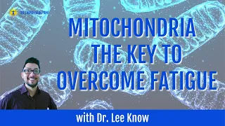 ☀️ Why Mitochondria is The Key to Overcoming Fatigue