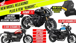 New 2023 Honda Motorcycles! Hawk 11 + CL500 & CL300 Scrambler Bike News / Rumors and more!