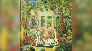 Flamingods - Majesty (Full Album Stream)