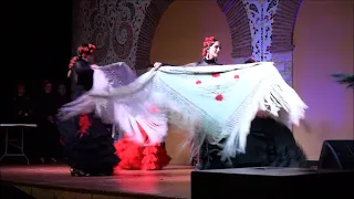 ФЛАМЕНКО, FLAMENCO, испанский ТАНЕЦ с платками, spanish DANCE, la DANZA española, 2022