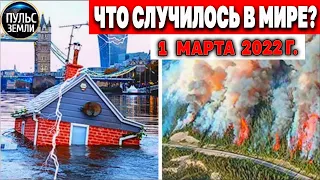 Катаклизмы за день 1 МАРТА 2022! Пульс Земли! #flooding #снегопад катаклизмы сегодня наводнение