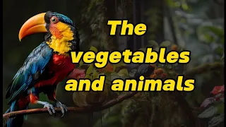 Say the vegetables and animals in English