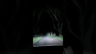 Visiting the haunted Dark Hedges! 👻👻👻