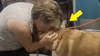 After 6 months they found their dog. His reaction will make you cry!