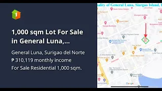 1,000 sqm Lot For Sale in General Luna, Siargao Island (Town Proper)