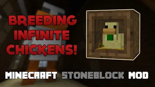 BREEDING INFINITE CHICKENS - Modded Minecraft Guide - Stoneblock #1