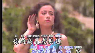 花心 Hua Xin (辉歌 Victory Production - DVD版)