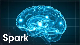 How Your Brain Is Changing | The Brain Fitness Program | Spark