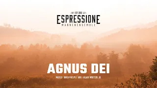 Agnus Dei (David Phelps) Lyric Video- Mannenensemble Espressione