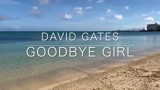 Goodbye Girl David Gates