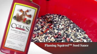 Cole's Flaming Squirrel™ Seed Sauce