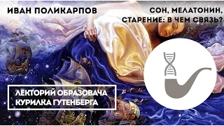 Иван Поликарпов - Сон, мелатонин, старение: в чём связь?