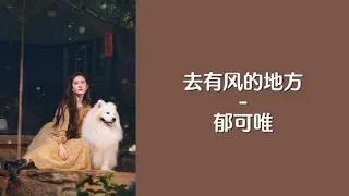 去有风的地方 (Qu You Feng De De Fang) – Yisa Yu (郁可唯) Han/Pin/Eng Lyrics