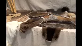 In Focus: Fur Trade In Minnesota Exhibit