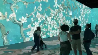 Tour “Beyond van Gogh: The Immersive Experience”