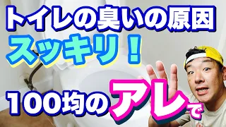 【トイレ】【臭い】便器の汚れ尿石を100均のアレで簡単に落とす方法！！