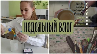 WEEKLY VLOG | Недельный влог | учёба, 9 класс, ОГЭ, химия | эмоции