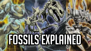 Fossils Explained In 14 Minutes [Yu-Gi-Oh! Archetype Analysis]