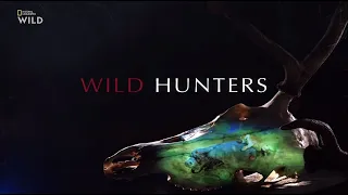 Nat Geo Wild: Дикие охотники | 2 серия - Змеи | 2019🌿