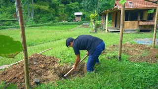 Full Video : 15 days hoeing the land to grow grapes, Harvesting corn and picking fresh tea