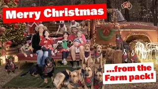 Merry Christmas from the Farm Pack | Christmas Special