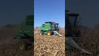 John Deere 9500 Harvesting Corn #johndeere #harvest #combineharvester #johndeeretractor #corn