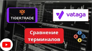 Сравнение терминала Tiger Trade and Vataga! Какой терминал стоит выбрать для торговли! #трейдинг