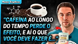 EFEITO DA CAFEÍNA AO LONGO DO TEMPO | Muzy Explica