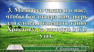 Видеобиблия  Послание к Колоссянам читает Бондаренко