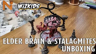 Wizkids Elder Brain Premium Set Mini Unboxing/Review | Nerd Immersion