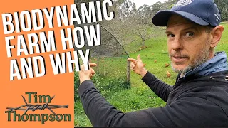 Biodynamic Farm How and Why