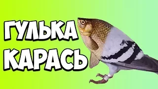 Зоология с ютубером!!! Гулька карась...