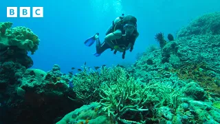 Simon Reeve journeys to Earth's GREATEST wildernesses 🌎 | Wilderness with Simon Reeve - BBC