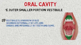 Oral cavity - introduction