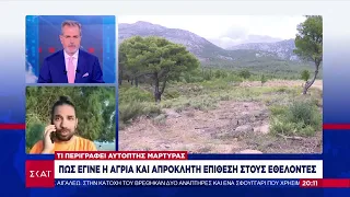 Πώς έγινε η άγρια επίθεση στην Πάρνηθα - Τι περιγράφει αυτόπτης μάρτυρας | Βραδινό δελτίο