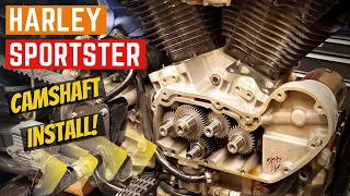 SPORTSTER Camshaft Install HOW TO - In The Shop