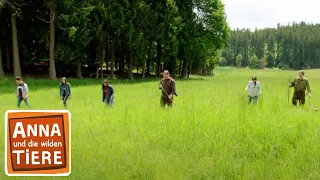 Rettung auf dem Feld | Reportage für Kinder | Anna und die wilden Tiere