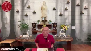 Buddha's Breath 4
