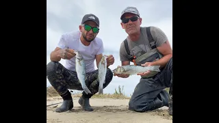 PECHE DU LOUP EN PLAGE AUX LEURRES : MAI 2022    HD 720p