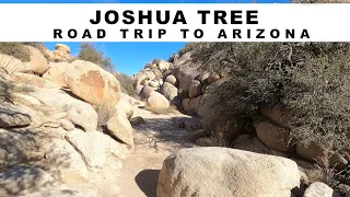 Joshua Tree National Park | Road Trip to Arizona