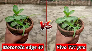 Motorola edge 40 VS Vivo V27 Pro Camera Comparison | Motorola edge 40 Camera Review |