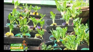 Hydroponics and Climate smart agriculture practices farmers are adapting to - Part 1