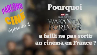 Parlons ciné #1 : Pourquoi Black Panther 2 a failli ne pas sortir au cinéma en France ?