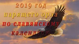 2019 год парящего орла по славянскому календарю.