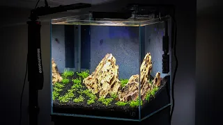 My New Iwagumi Inspired Aquascape Setup!